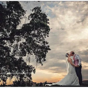 Absolutely stunning!