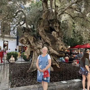 Found this Anthropology brand dress at Amanda's for trip to Spain. Amandas is one of my favorite shopping spots next to Jjill and Talbots!!