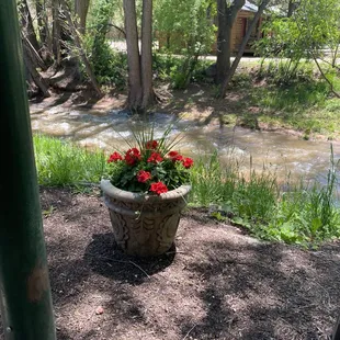 The creek.
