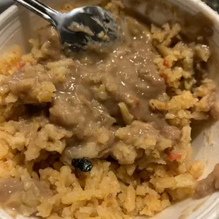 There was a fat ass fly in the beans and rice