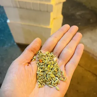 a hand holding a handful of seeds