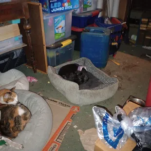 This is from his place. Filthy, mice and roach infested. Bed bug infested. And he brings it to work on him.