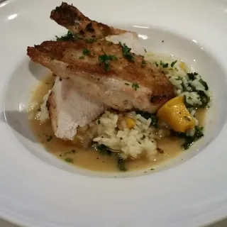 Pollo