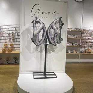 Dreaming at Ama&apos;s Dream Shop.