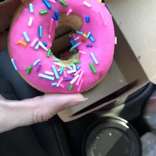 Vanilla Homer