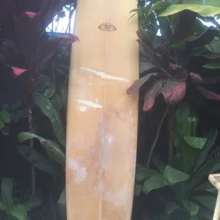Same longboard dent of surfboard getting ready for restoration color work