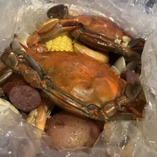 Blue crabs