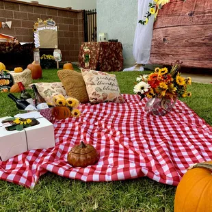 Backyard picnic set up
