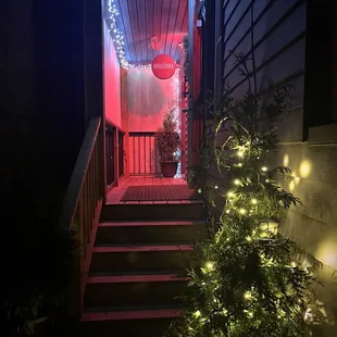 a lighted christmas tree in front of a house
