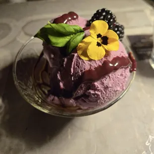 Blueberry Gelato