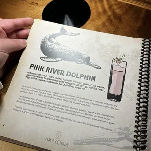Pink River Dolphin