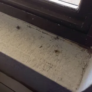 Cigarette butts in my Window. I don't even smoke so I can only imagine how long they've been there.