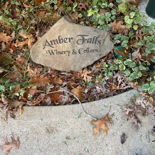 a stone in the leaves