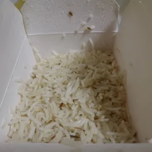 Saturday March 26, 2022 Plain Rice for the Lamb Saag