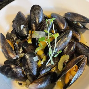 Blue Mussels