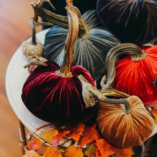 Visit our Hot Skwash Pumpkin Patch!