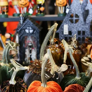 Hot Skwash Pumpkins are here!