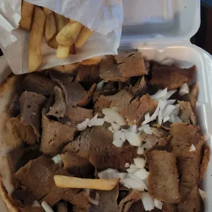 Gyro and fries