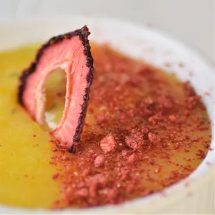 Negroni Panna Cotta
