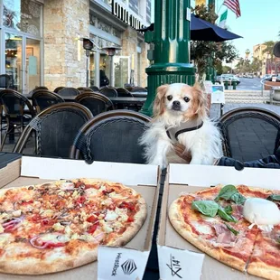 Our 18 year old dog Bambam love the Prosciutto on our Pizza , he was actually the who ate the most of the  prosciutto ;)