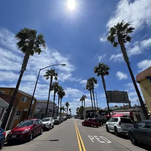 a street lined with palm trees