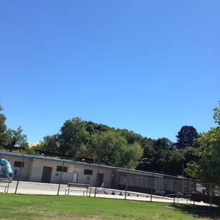 Ambrose Park