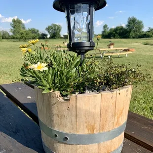 a wooden barrel planter with a light