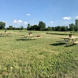 picnic tables in a field