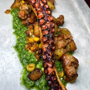 Grilled Octopus