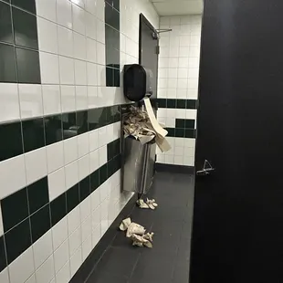 Paper towels everywhere