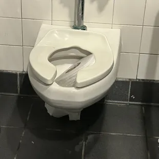 Stuff shoved in the toilet and all over the floor jsut trifiling