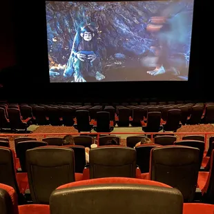 First time in a theater in over a year!