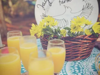 Jaybird Hammock Farm