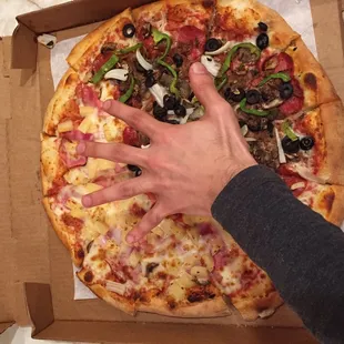 Hand for reference. In fact it looks like a small pizza. Little bigger than personal sized...