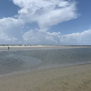 Hunting for sharks' teeth and sand dollars near a sandbar.
