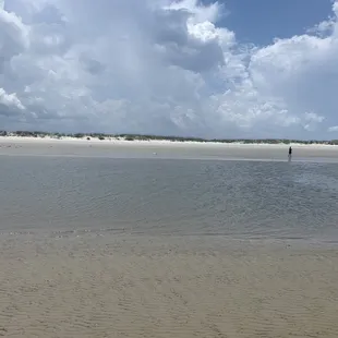 Looking for sand dollars near a sandbar.