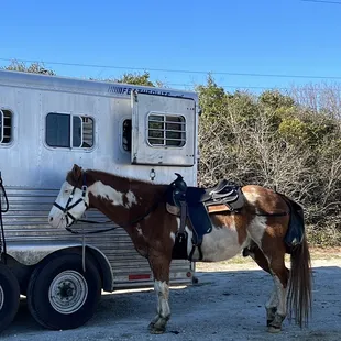 Meeting Spot - Parking Lot Location