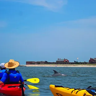 Historic Fort Clinch and Dolphin sightings.
