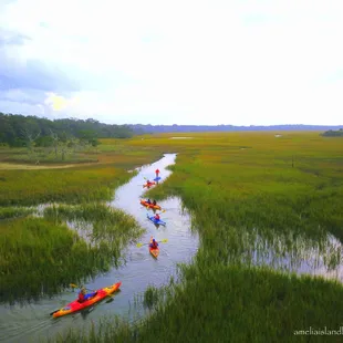Saltmarsh kayaking