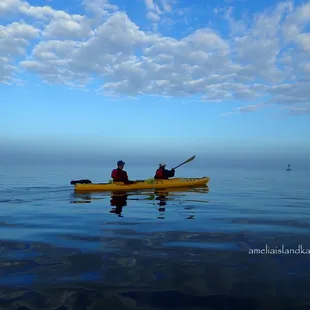 Amelia Island Kayak Excursions Amelia River Kayaking