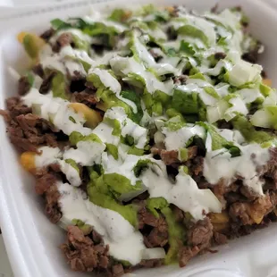 Carne asada fries