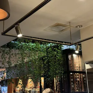 The bar area at Amelia's