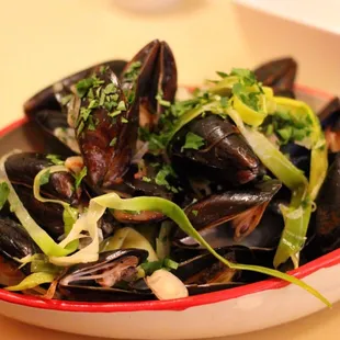 shellfish, oysters, mussels, food, oysters and mussels