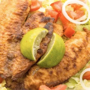 Tilapia fry