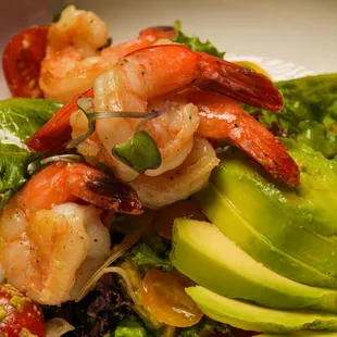 Shrimp Avocado Salad