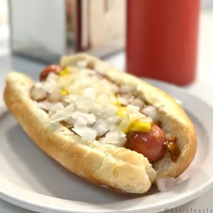 a hot dog on a bun