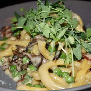 The Creamy Casarecce was made with River Bear bacon, spring peas, local mushrooms, roasted garlic, &amp; parmesan cream sauce.