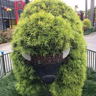 grass covering the head of a buffalo
