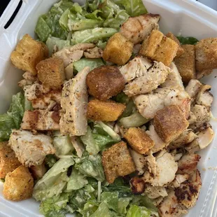 Chicken Caesar Salad