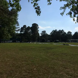 Here's their super slide! And what is supposedly a volleyball court.
